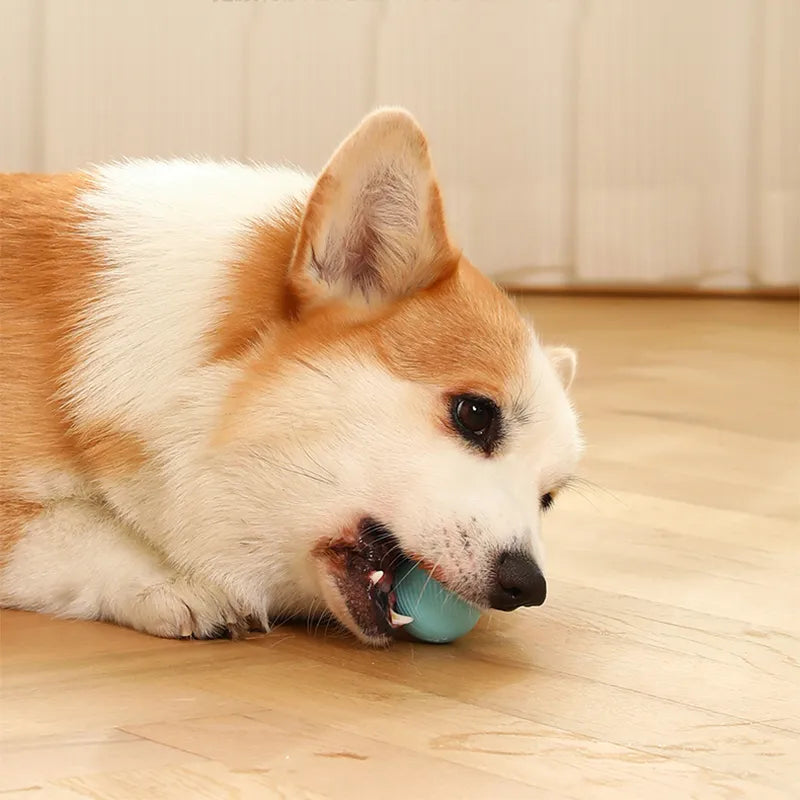 MagicRoll Pet – Bolinha Inteligente de Rolamento Automático