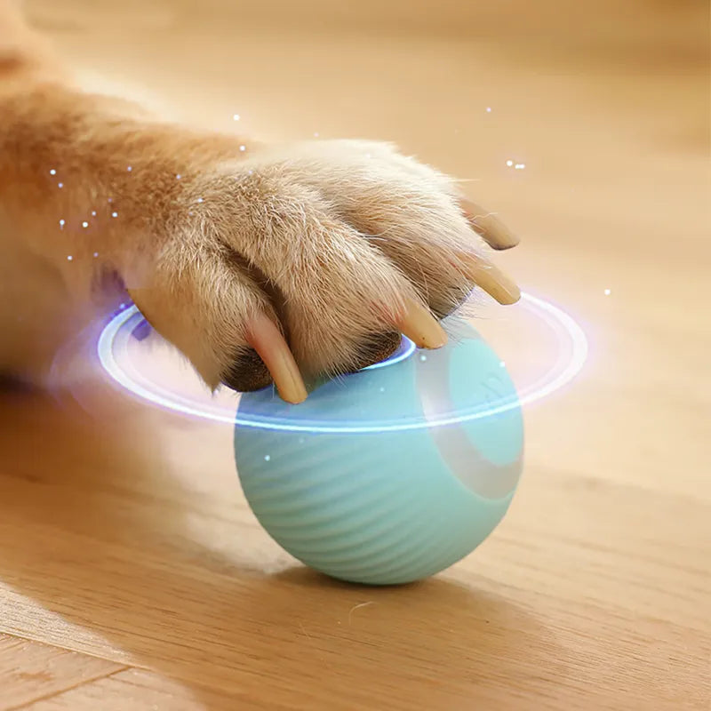 MagicRoll Pet – Bolinha Inteligente de Rolamento Automático