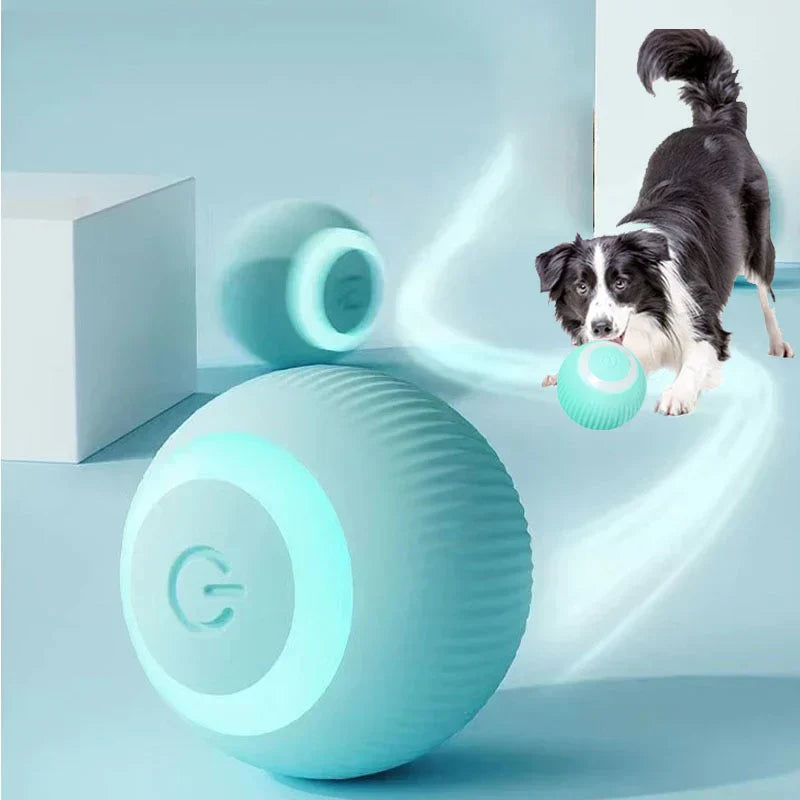MagicRoll Pet – Bolinha Inteligente de Rolamento Automático