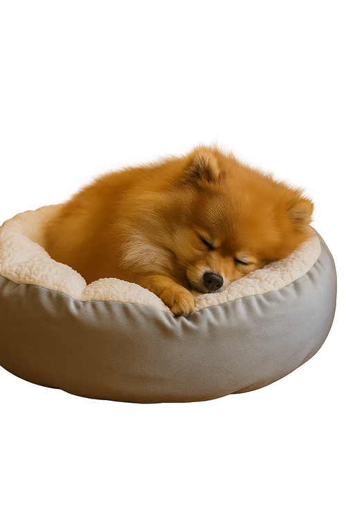 A Cama Perfeita para o Seu Pet: Conforto e Bem-Estar que Ele Merece!