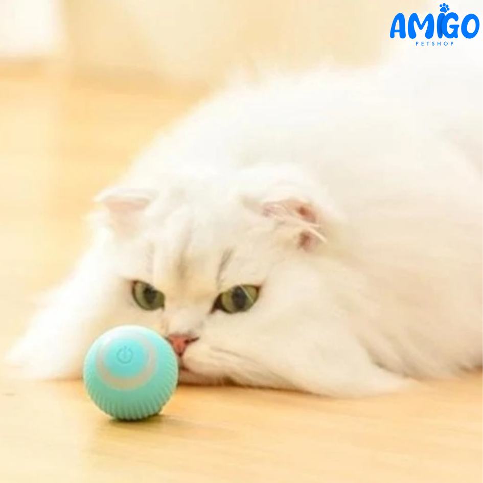 MagicRoll Pet – Bolinha Inteligente de Rolamento Automático