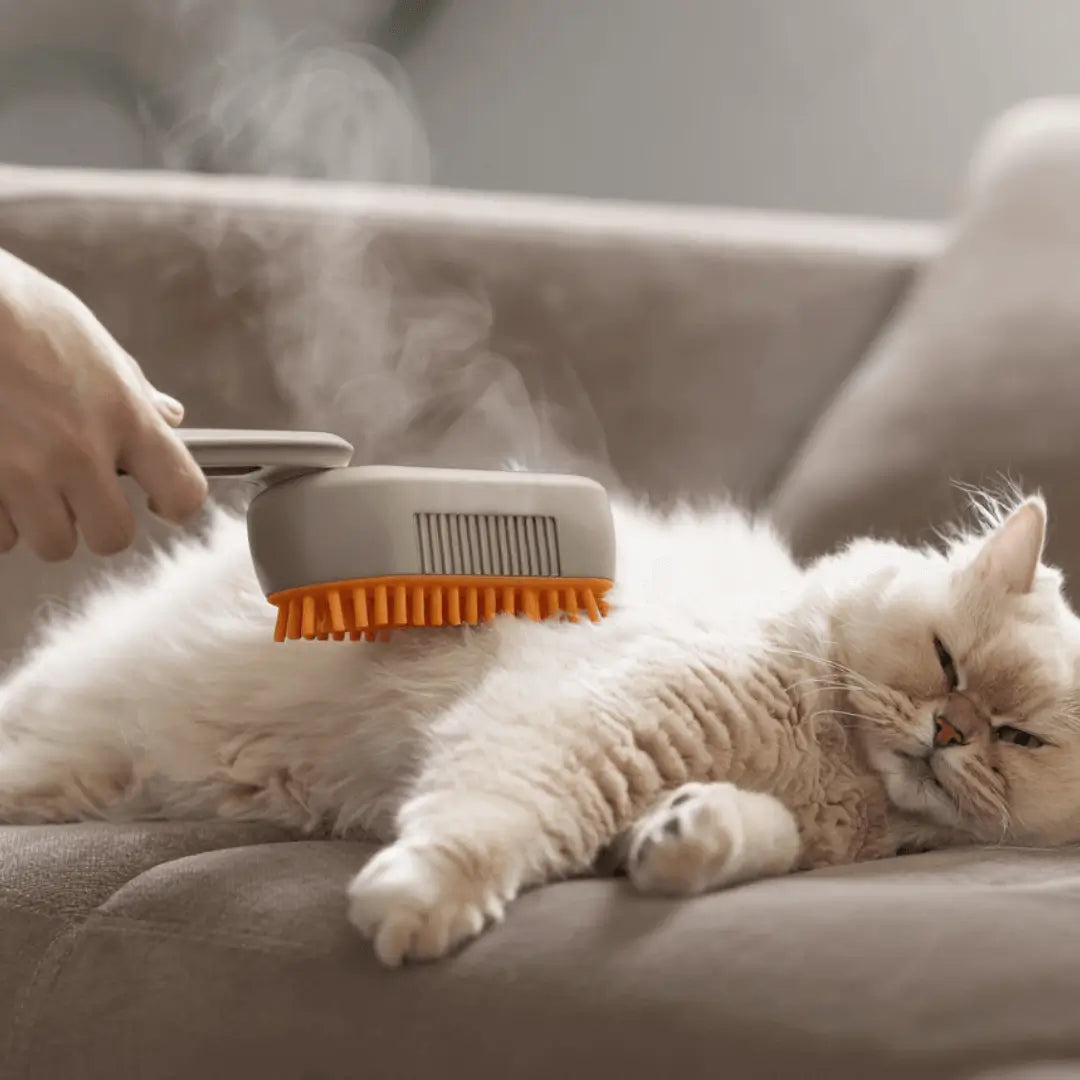 Escova A Vapor Escovita 3 Em 1 - COMPRE 1 LEVE 2