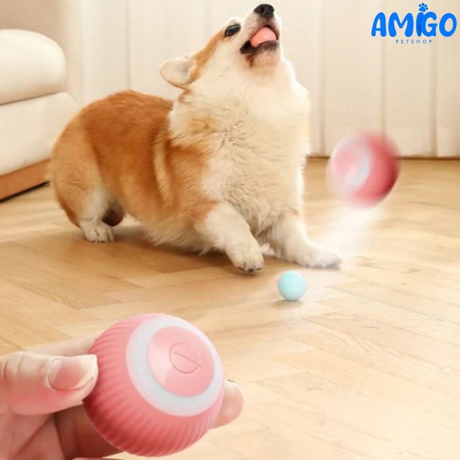 MagicRoll Pet – Bolinha Inteligente de Rolamento Automático
